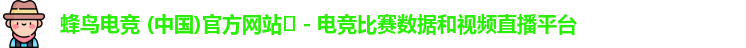 蜂鸟电竞
